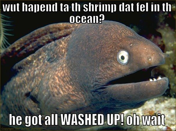 WUT HAPEND TA TH SHRIMP DAT FEL IN TH OCEAN? HE GOT ALL WASHED UP! OH WAIT Bad Joke Eel