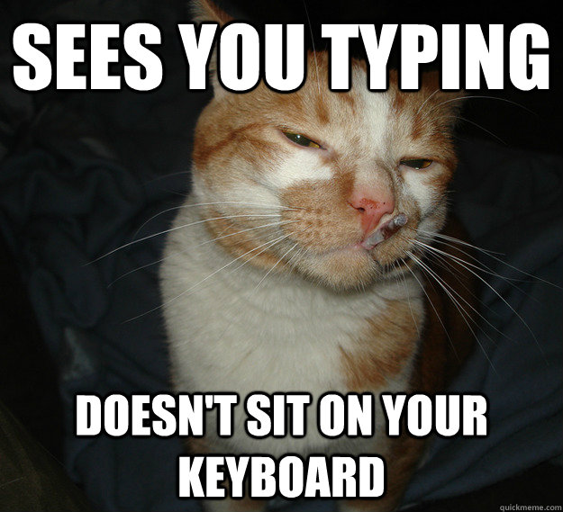 Sees you typing Doesn't sit on your keyboard - Sees you typing Doesn't sit on your keyboard  Cool Cat Craig