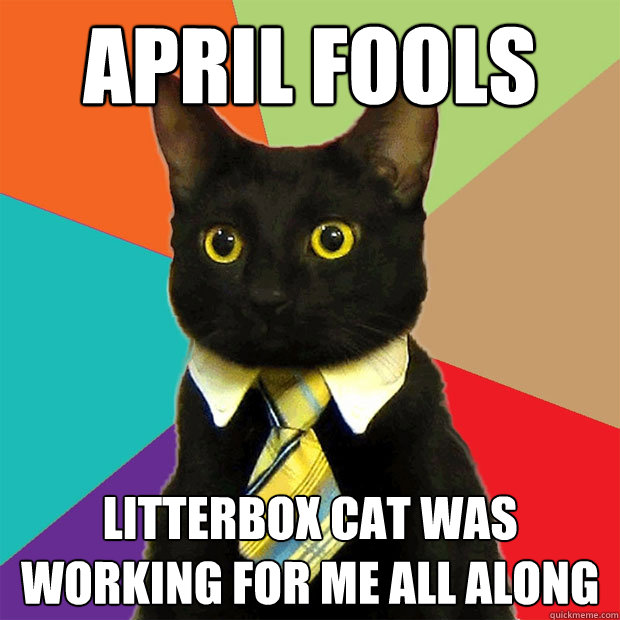 APRIL FOOLS LITTERBOX CAT WAS WORKING FOR ME ALL ALONG  Business Cat