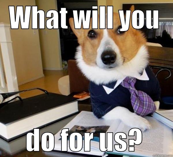 WHAT WILL YOU DO FOR US? Lawyer Dog