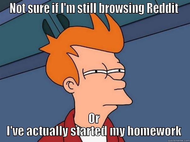 I have to make a meme for a university course... - NOT SURE IF I'M STILL BROWSING REDDIT OR I'VE ACTUALLY STARTED MY HOMEWORK Futurama Fry