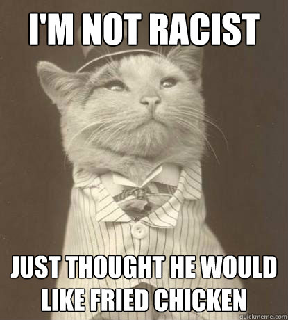 I'm not racist Just thought he would like fried chicken Caption 3 goes here  Aristocat