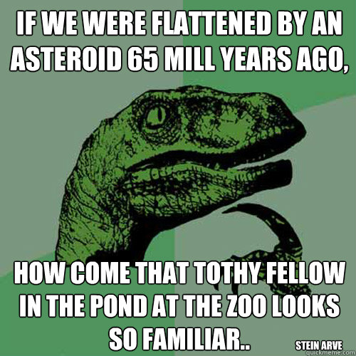 if we were flattened by an asteroid 65 mill years ago, how come that tothy fellow in the pond at the zoo looks so familiar.. stein arve - if we were flattened by an asteroid 65 mill years ago, how come that tothy fellow in the pond at the zoo looks so familiar.. stein arve  Philosoraptor