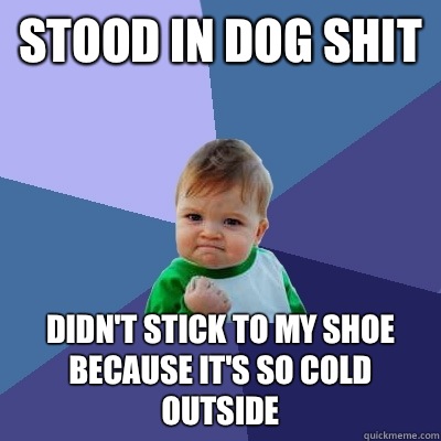 Stood in dog shit  Didn't stick to my shoe because it's so cold outside  Success Kid