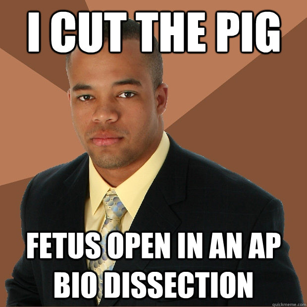 i cut the pig fetus open in an AP bio dissection - i cut the pig fetus open in an AP bio dissection  Successful Black Man