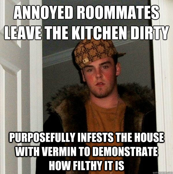 Annoyed roommates leave the kitchen dirty purposefully infests the house with vermin to demonstrate how filthy it is  Scumbag Steve