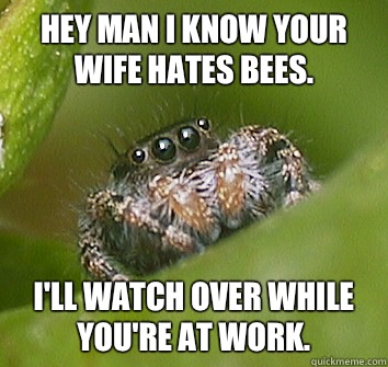 Hey man I know your wife hates bees. I'll watch over while you're at work.  Misunderstood Spider