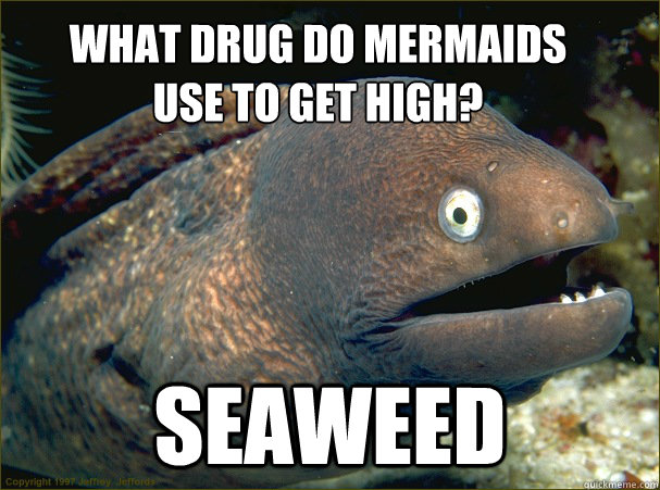 What drug do Mermaids
use to get high? Seaweed  Bad Joke Eel