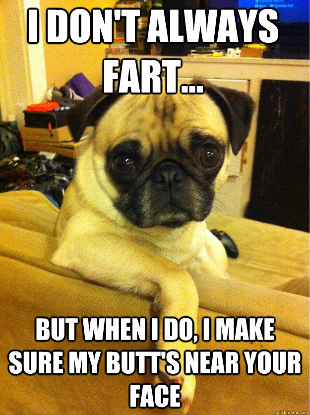 i don't always fart... but when i do, i make sure my butt's near your face  Th eMost Interesting Dog in the World