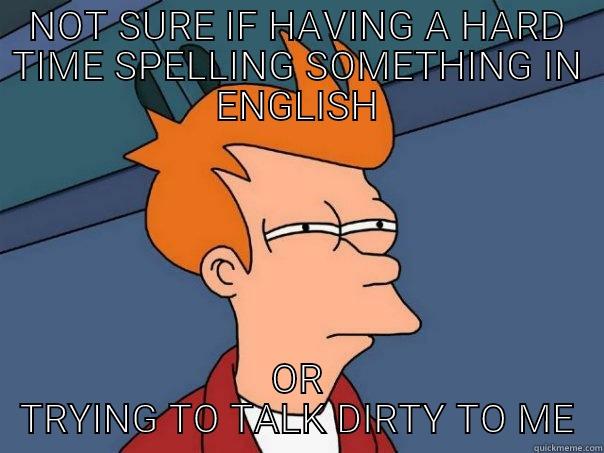 people can't spell - NOT SURE IF HAVING A HARD TIME SPELLING SOMETHING IN ENGLISH OR TRYING TO TALK DIRTY TO ME Futurama Fry