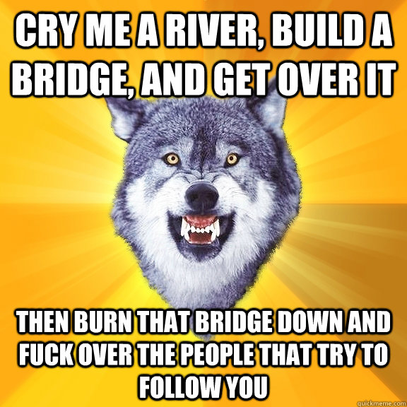 cry me a river, build a bridge, and get over it Then burn that bridge down and fuck over the people that try to follow you  Courage Wolf