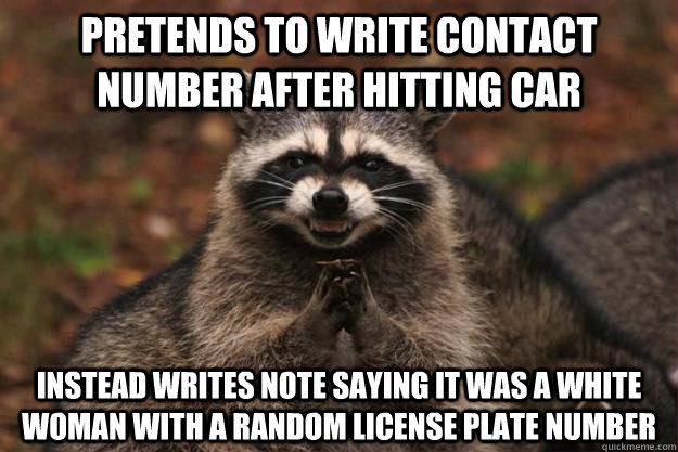 pretends to write contact number after hitting car instead writes note saying it was a white woman with a random license plate number - pretends to write contact number after hitting car instead writes note saying it was a white woman with a random license plate number  Evil Plotting Raccoon