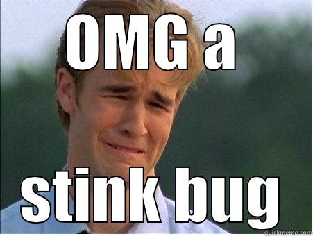 OMG A STINK BUG 1990s Problems