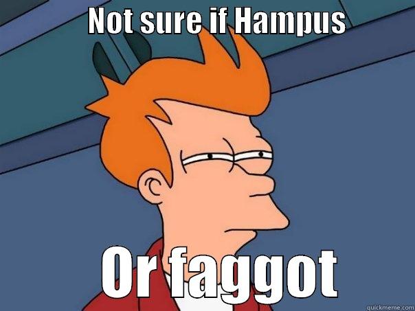               NOT SURE IF HAMPUS                      OR FAGGOT       Futurama Fry