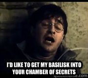  I'd like to get my basilisk into your chamber of secrets  Horny Harry