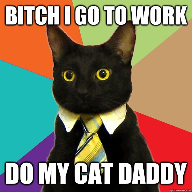 Bitch I go to work do my cat daddy  Business Cat