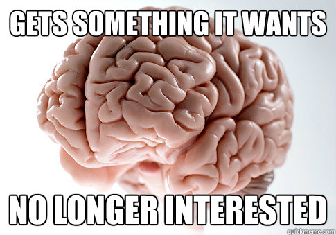 Gets something it wants No longer interested  Scumbag Brain