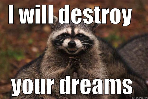 I WILL DESTROY  YOUR DREAMS Evil Plotting Raccoon