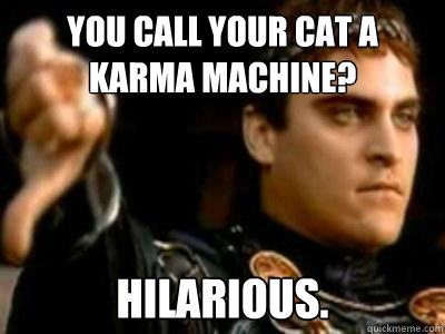 You call your cat a karma machine? hilarious.  Downvoting Roman