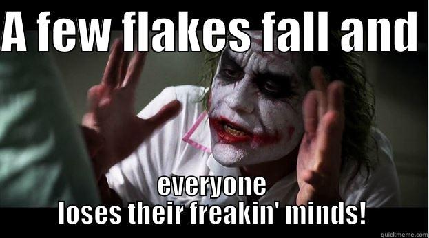 A FEW FLAKES FALL AND  EVERYONE LOSES THEIR FREAKIN' MINDS! Joker Mind Loss