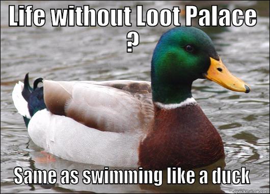 LIFE WITHOUT LOOT PALACE ? SAME AS SWIMMING LIKE A DUCK  Actual Advice Mallard