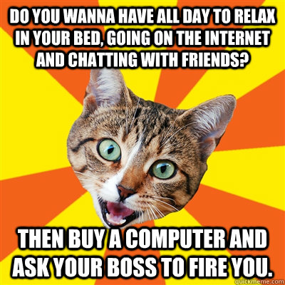 Do you wanna have all day to relax in your bed, going on the internet and chatting with friends? then buy a computer and ask your boss to fire you.  Bad Advice Cat