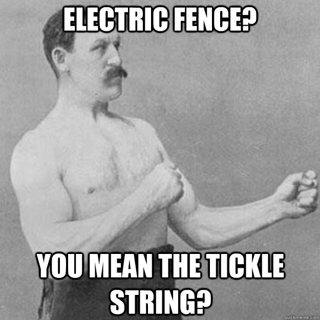 Electric Fence? You mean the tickle string?  overly manly man