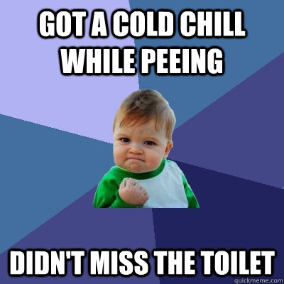 Got a cold chill while peeing Didn't miss the toilet  Success Kid