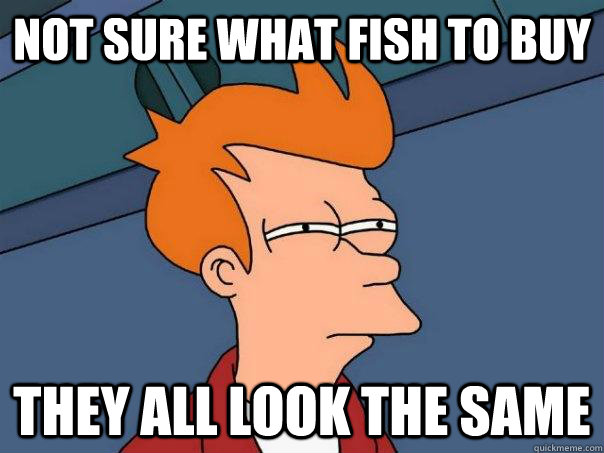 not sure what fish to buy they all look the same  Futurama Fry