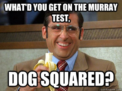 what'd you get on the Murray test, Dog Squared?  Brick Tamland