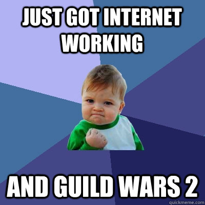 Just got internet working and Guild Wars 2  Success Kid