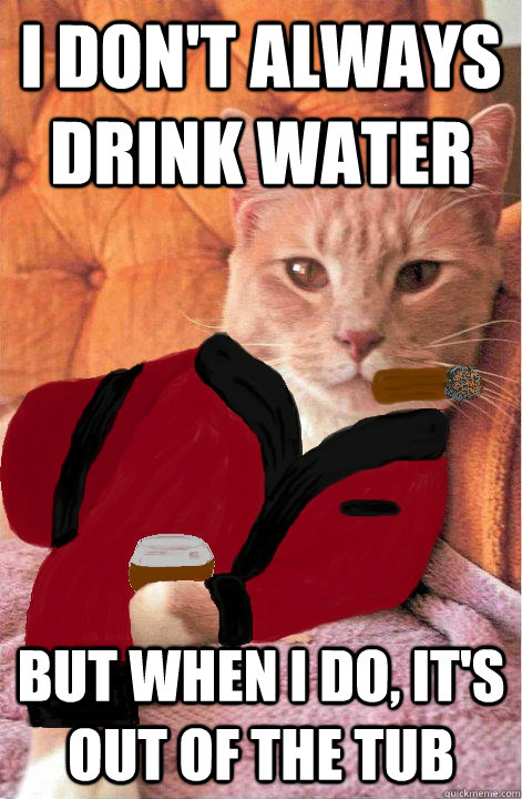 I don't always drink water But when I do, it's out of the tub  Most Interesting Zuko