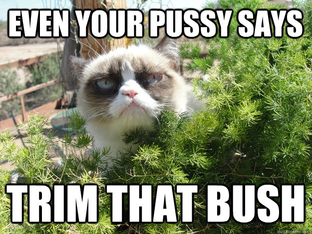 Even your pussy says Trim that bush - Even your pussy says Trim that bush  Misc