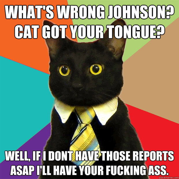 what's wrong johnson? cat got your tongue? well, if i dont have those reports ASAP I'll have your fucking ass.  Business Cat