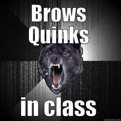 BROWS QUINKS IN CLASS Insanity Wolf