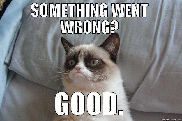 SOMETHING WENT WRONG? GOOD. Grumpy Cat