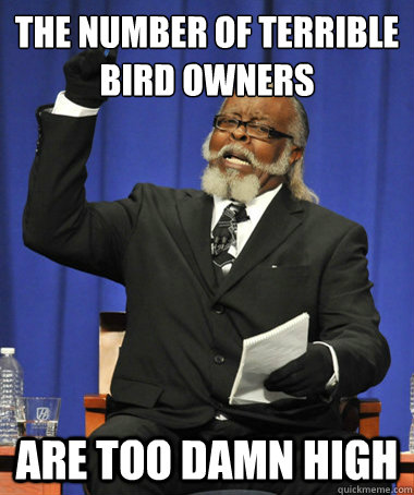 THE number of terrible bird owners are too damn high  The Rent Is Too Damn High