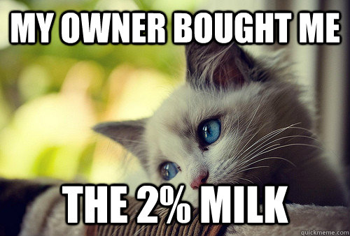 My owner bought me the 2% milk  First World Problems Cat