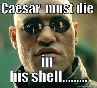 CAESAR  MUST DIE  IN  HIS SHELL......... Matrix Morpheus