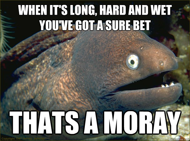 When it's long, hard and wet
you've got a sure bet thats a Moray - When it's long, hard and wet
you've got a sure bet thats a Moray  Bad Joke Eel