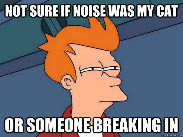 Not sure if noise was my cat Or someone breaking in  Futurama Fry