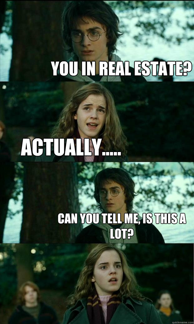 You in real estate?  actually..... can you tell me, is this a lot?   Horny Harry