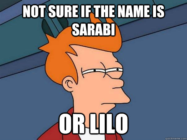 Not sure if the name is sarabi or lilo  - Not sure if the name is sarabi or lilo   Futurama Fry