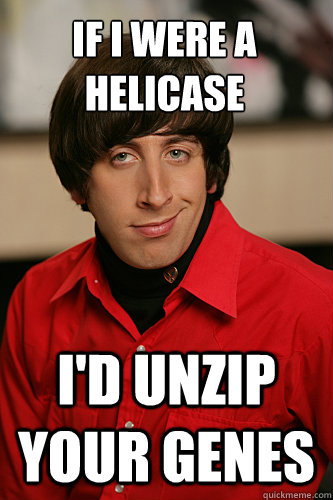 If I were a helicase  I'd unzip your genes - If I were a helicase  I'd unzip your genes  Howard Wolowitz