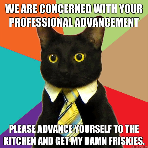 We are concerned with your professional advancement Please advance yourself to the kitchen and get my damn Friskies.  Business Cat