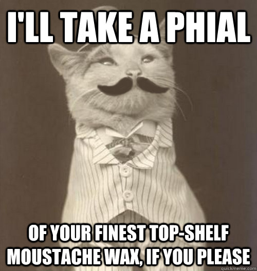 I'll take a phial  of your finest top-shelf moustache wax, if you please  Original Business Cat