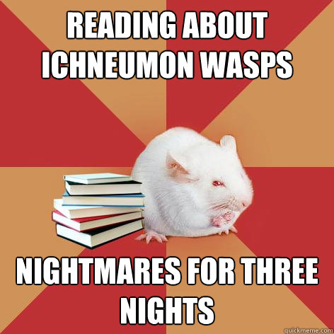 reading about ichneumon wasps nightmares for three nights - reading about ichneumon wasps nightmares for three nights  Science Major Mouse