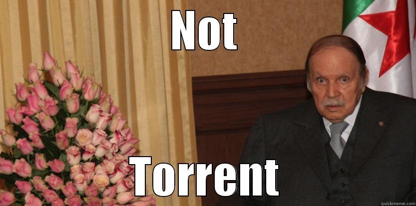 NOT TORRENT Misc