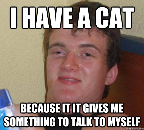 I have a cat  because it it gives me something to talk to myself - I have a cat  because it it gives me something to talk to myself  Really High Guy