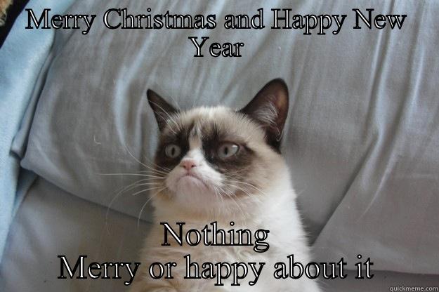 MERRY CHRISTMAS AND HAPPY NEW YEAR NOTHING MERRY OR HAPPY ABOUT IT Grumpy Cat